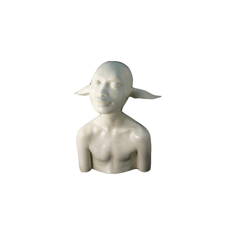 DOLLY 50CM "LOIC BODIN"