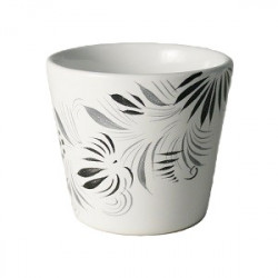 TASSE EXPRESSO 7.5CL "GWENN...